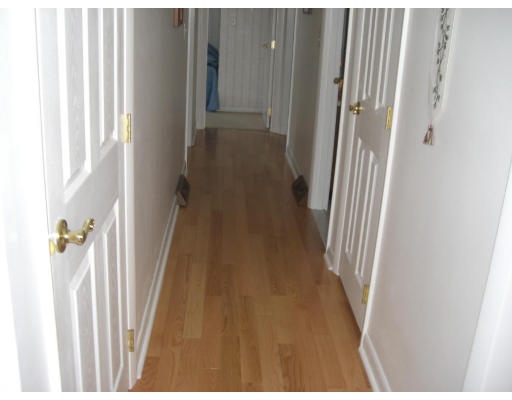 136 Chestnut Circle Randolph, MA 02368 - Photo 15 of 19 Gallery Image 15
