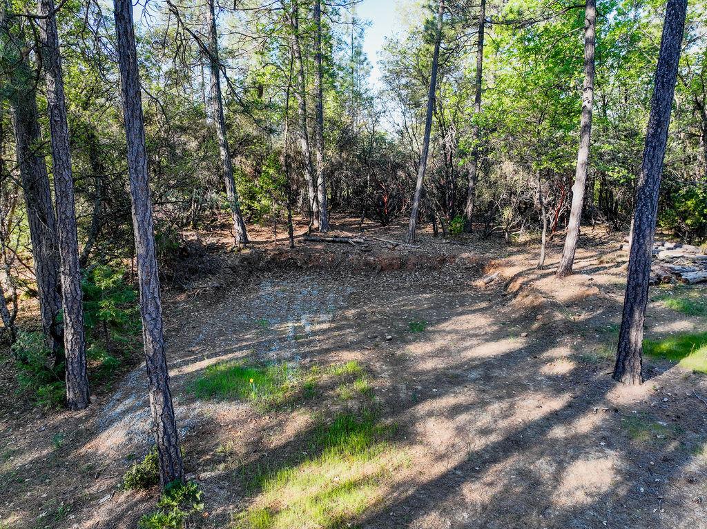 13279 Thoroughbred Loop Grass Valley, CA 95949 - Photo 19 of 33 a view of a backyard with trees