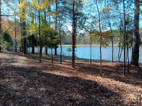 a view of a backyard with trees