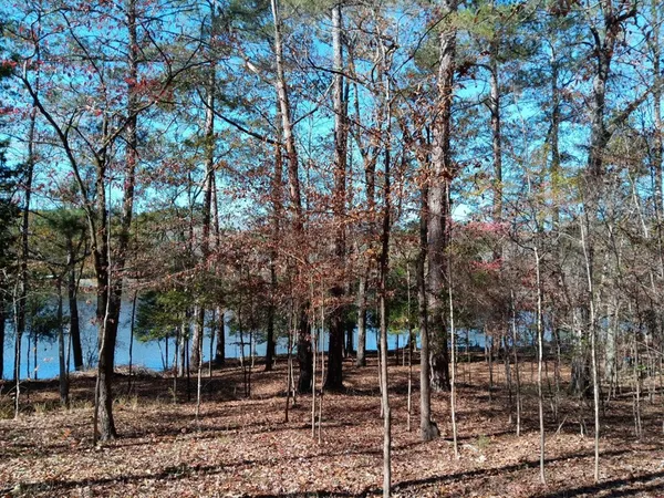a backyard of a house with lots of trees