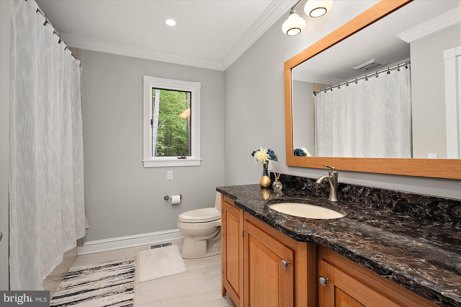 33915 Shockley Road Parsonsburg, MD 21849 - Photo 82 of 125 Modern bathroom with elegant finishes.