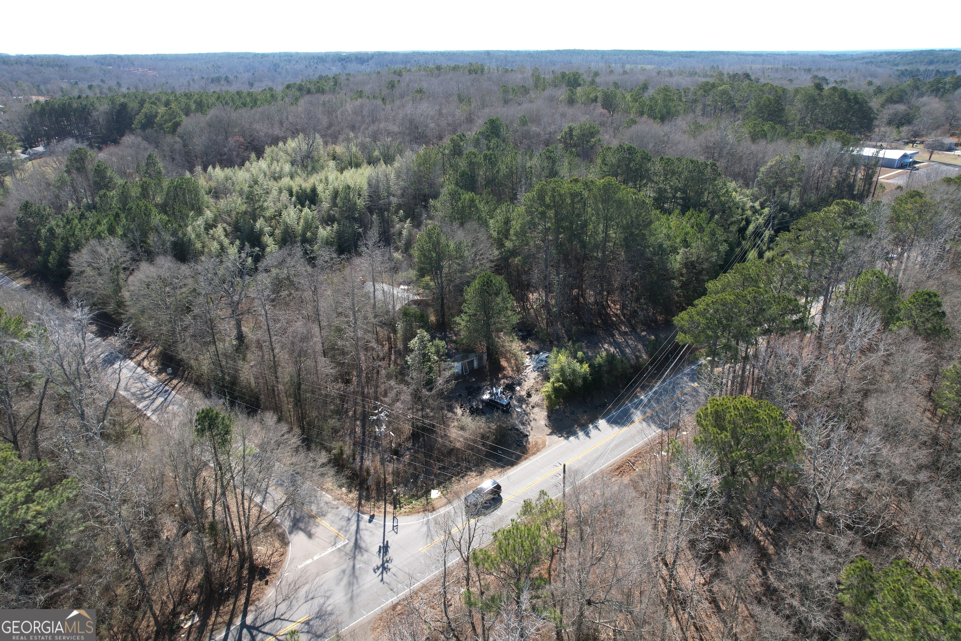 Tract B Newnan Road Griffin, GA 30224 - Photo 3 of 7 a view of a forest with a tree