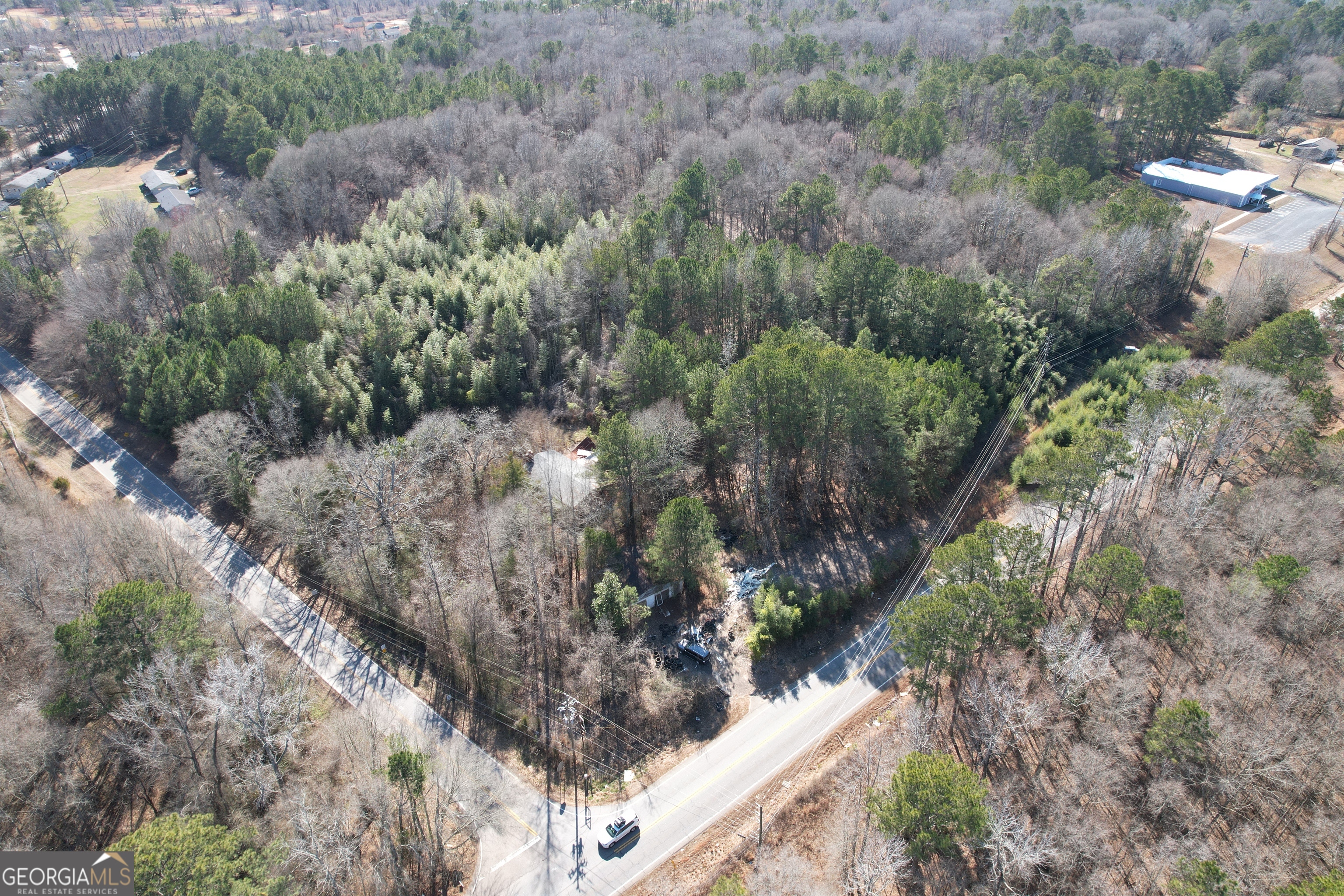 Tract B Newnan Road Griffin, GA 30224 - Photo 4 of 7 a view of a forest with a forest