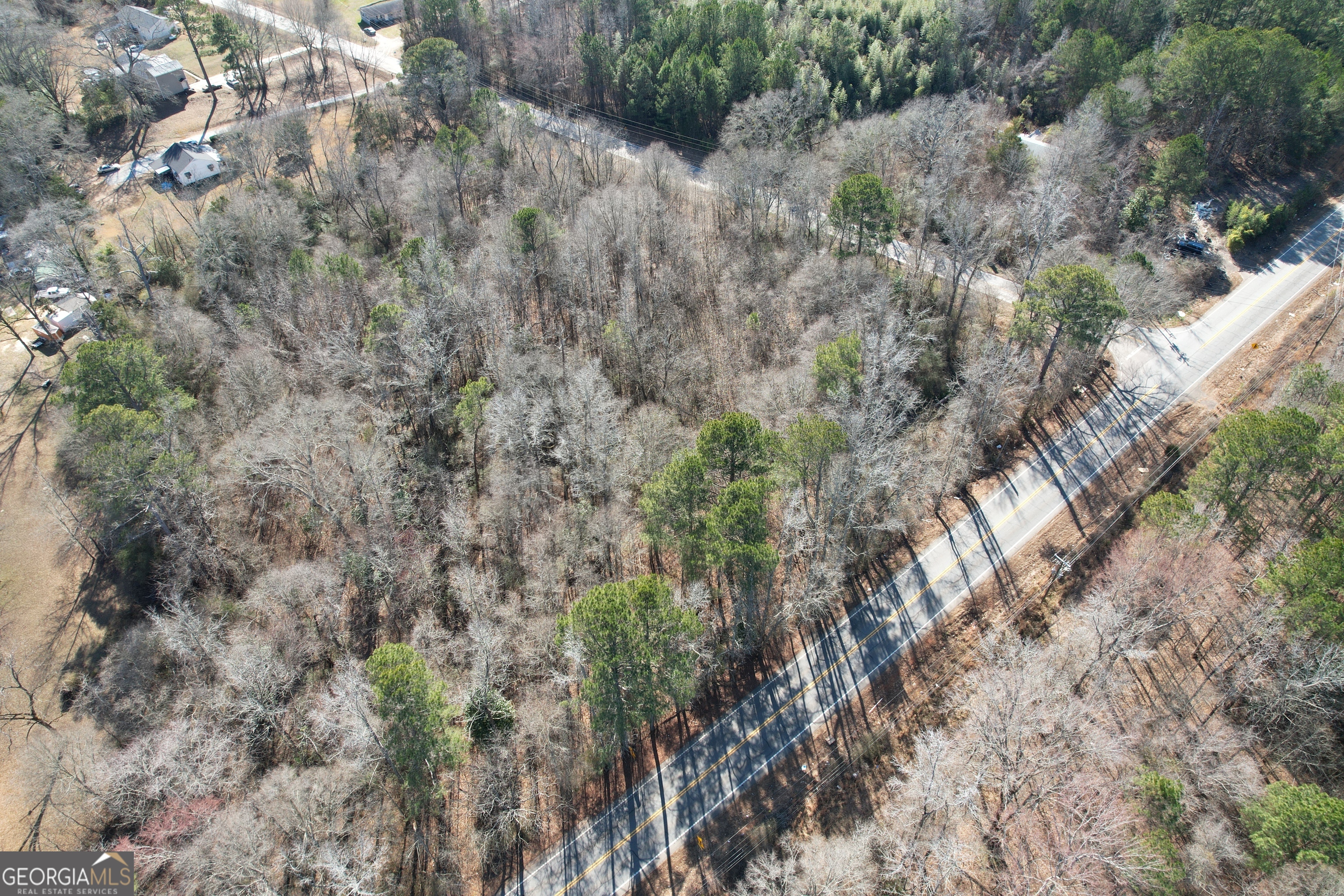 Tract B Newnan Road Griffin, GA 30224 - Photo 5 of 7 a view of a forest with a tree