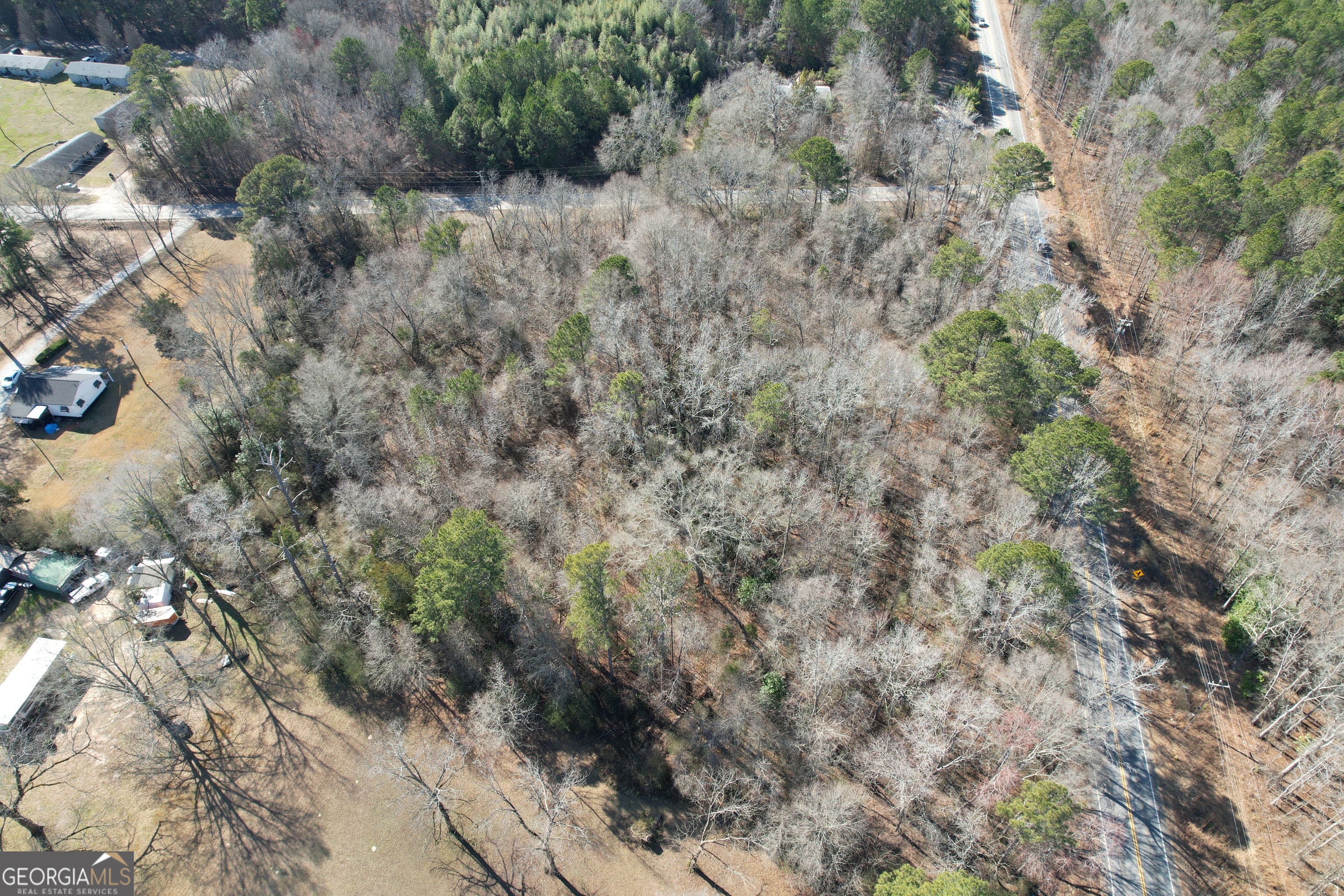 Tract B Newnan Road Griffin, GA 30224 - Photo 6 of 7 a view of a forest with lots of trees