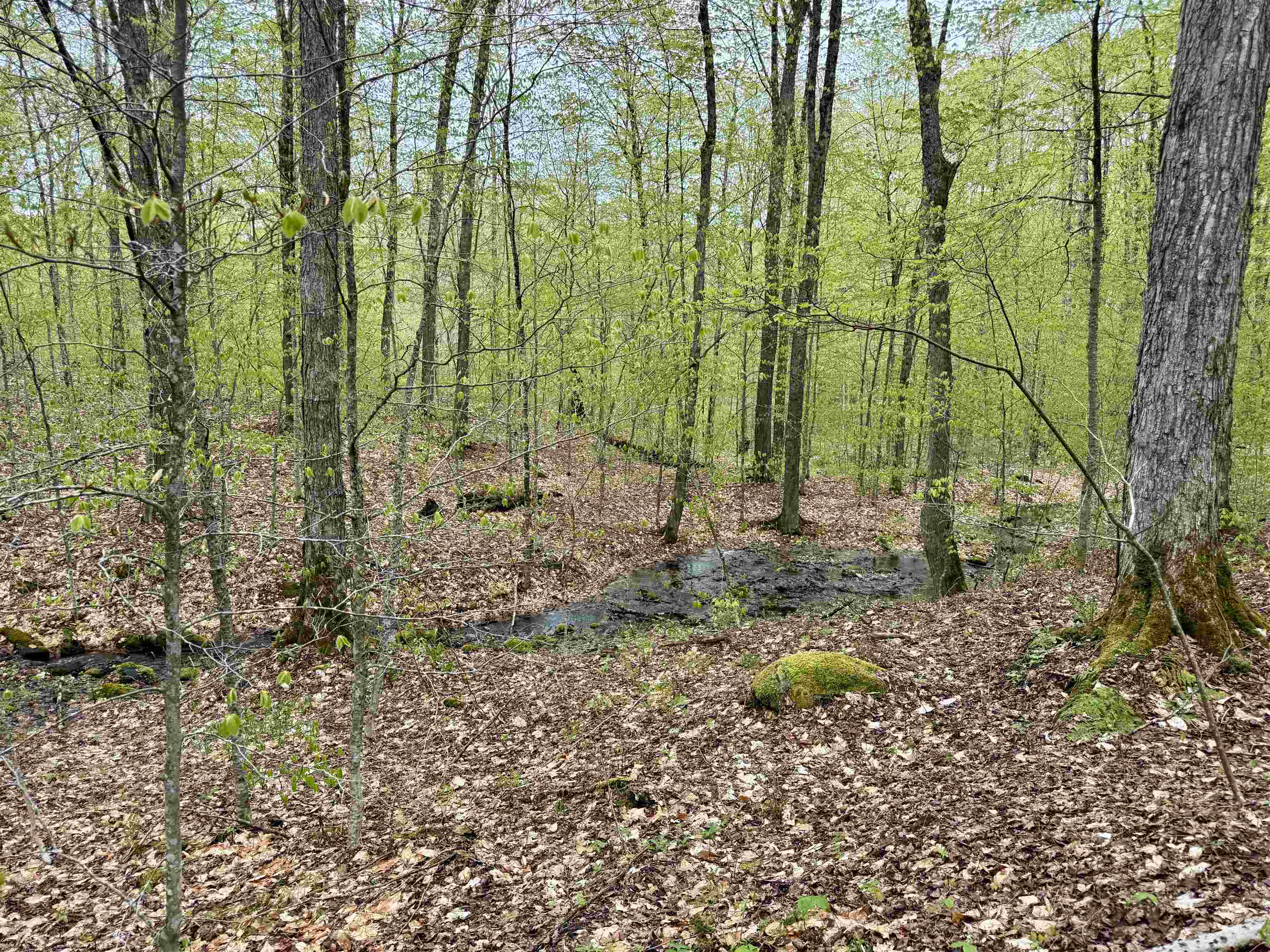 770 Pope Brook Road Danville, VT 05828 - Photo 14 of 14