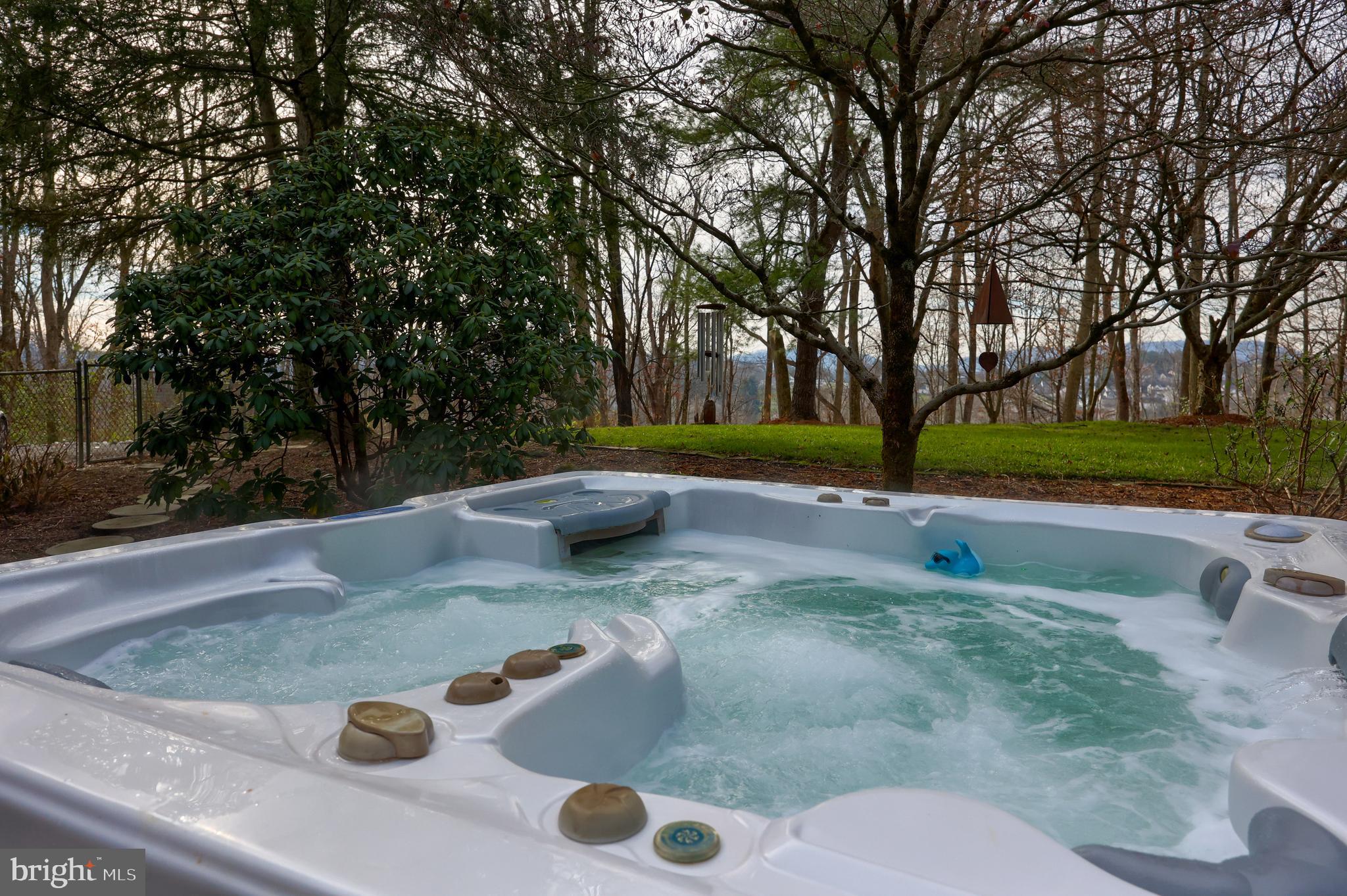 791 Shelbourne Road Reading, PA 19606 - Photo 26 of 67 Jacuzzi