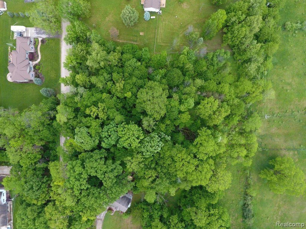 Vl Mitchell Road Lapeer, MI 48446 - Photo 6 of 8