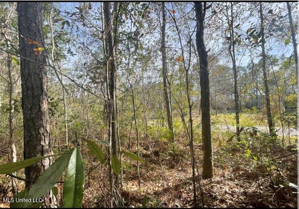 Dailey Road Gautier, MS 39553 - Photo 2 of 2 Screenshot #2