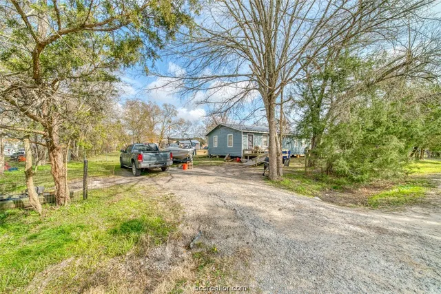 a view of road with large trees