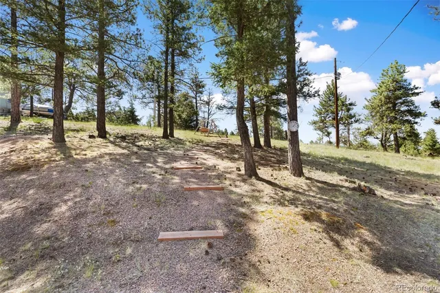 a view of a yard with a tree