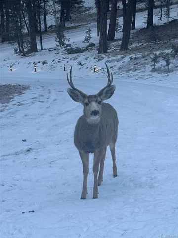 a view of outdoor space with city view