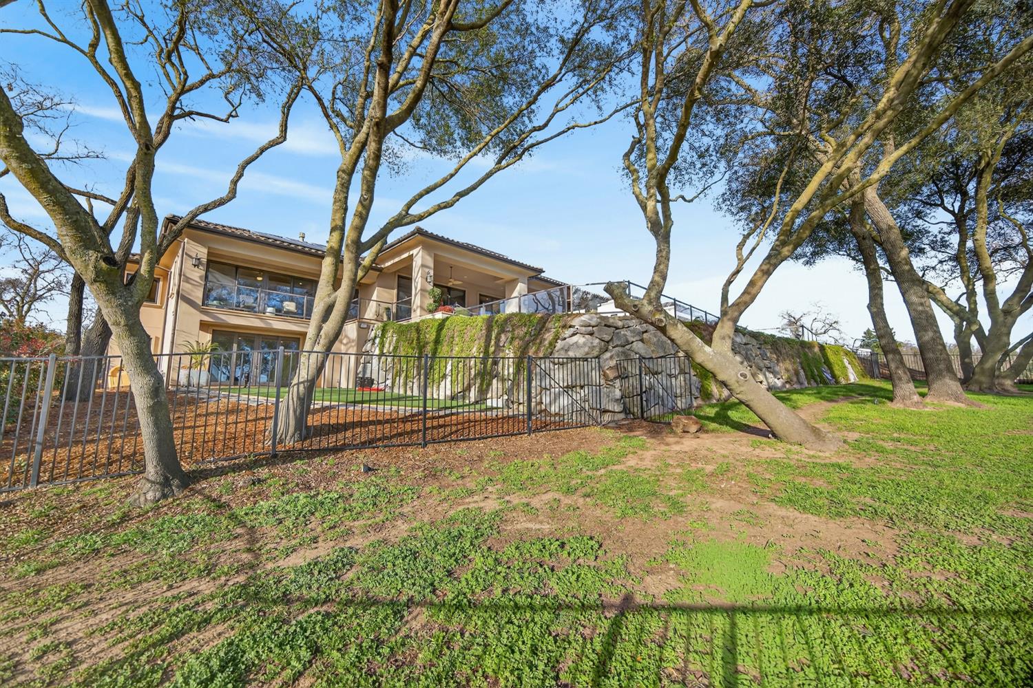 3909 Edgevale Court Fair Oaks, CA 95628 - Photo 75 of 98 a view of a yard with plants and trees