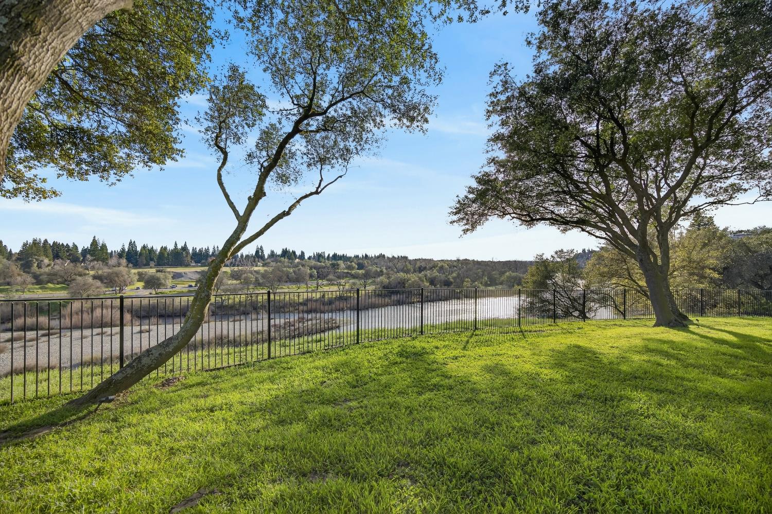 3909 Edgevale Court Fair Oaks, CA 95628 - Photo 76 of 98 a view of a backyard with a garden