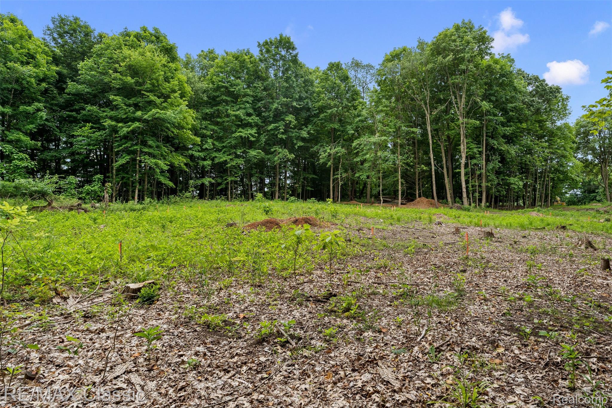 7888 North Territorial Road Dexter, MI 48130 - Photo 4 of 18 Fantastic location with privacy