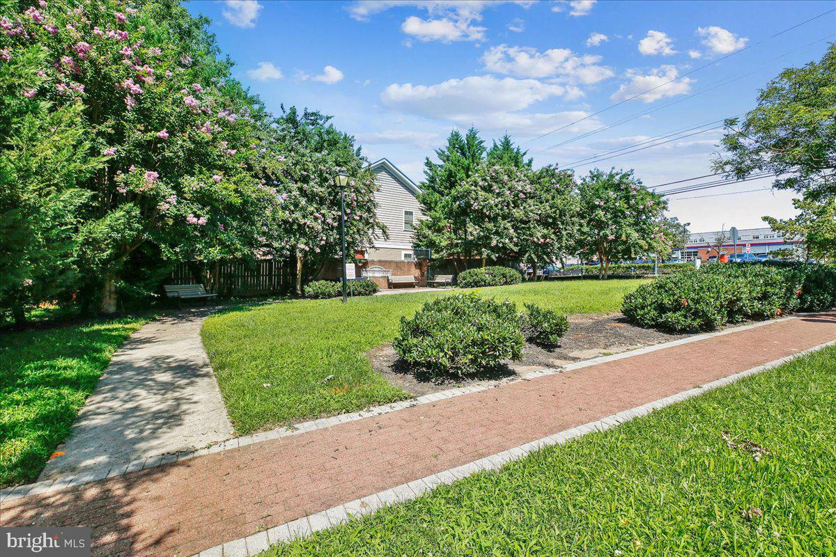 11516 Clairmont View Way Silver Spring, MD 20902 - Photo 28 of 34 Local area
