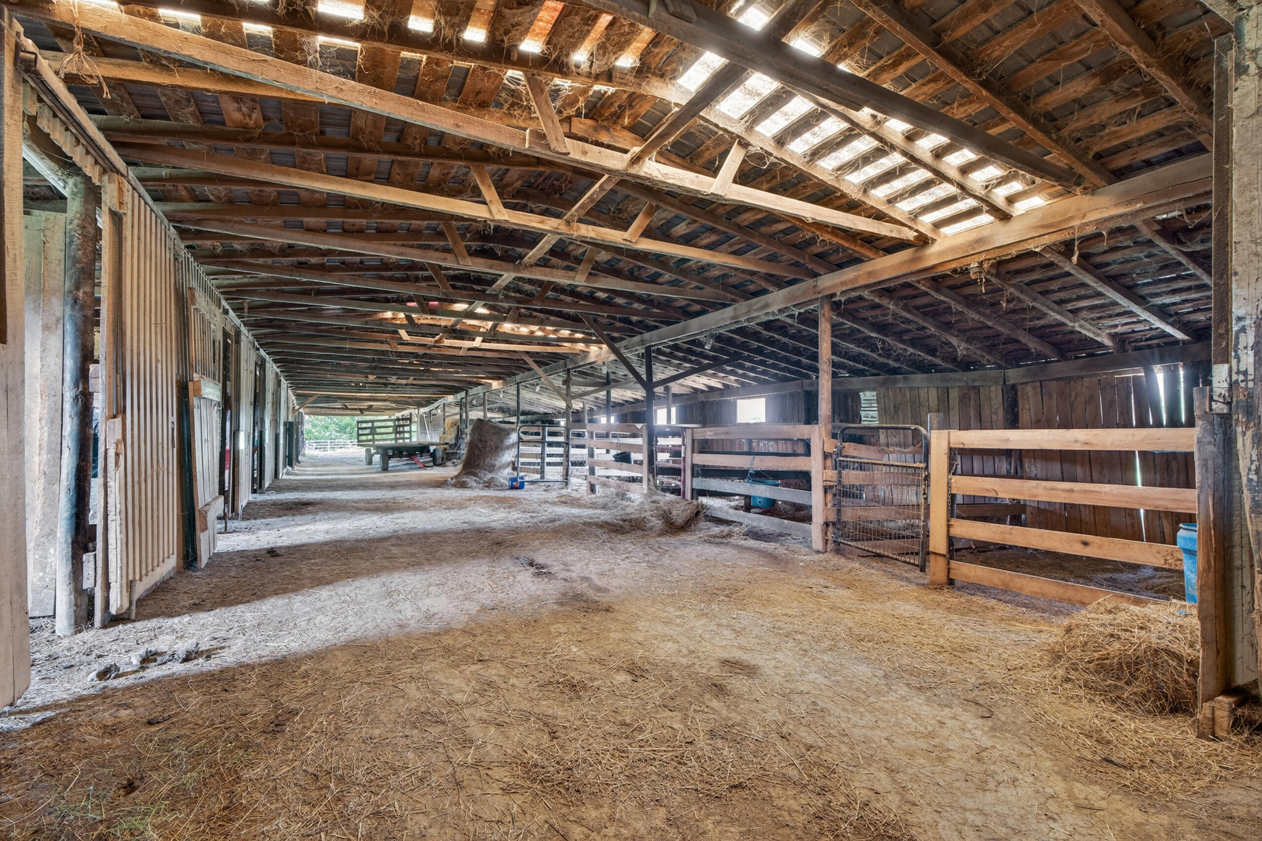493 Levy Road Paris, KY 40361 - Photo 37 of 49 493levy45