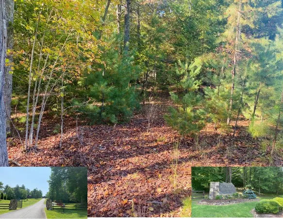 $23,000 | 0 Point Overlook Trail, Murphy, NC 28906