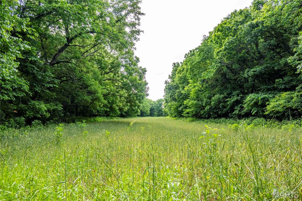 0 Abram Road Hartville, MO 65667 - Photo 51 of 97