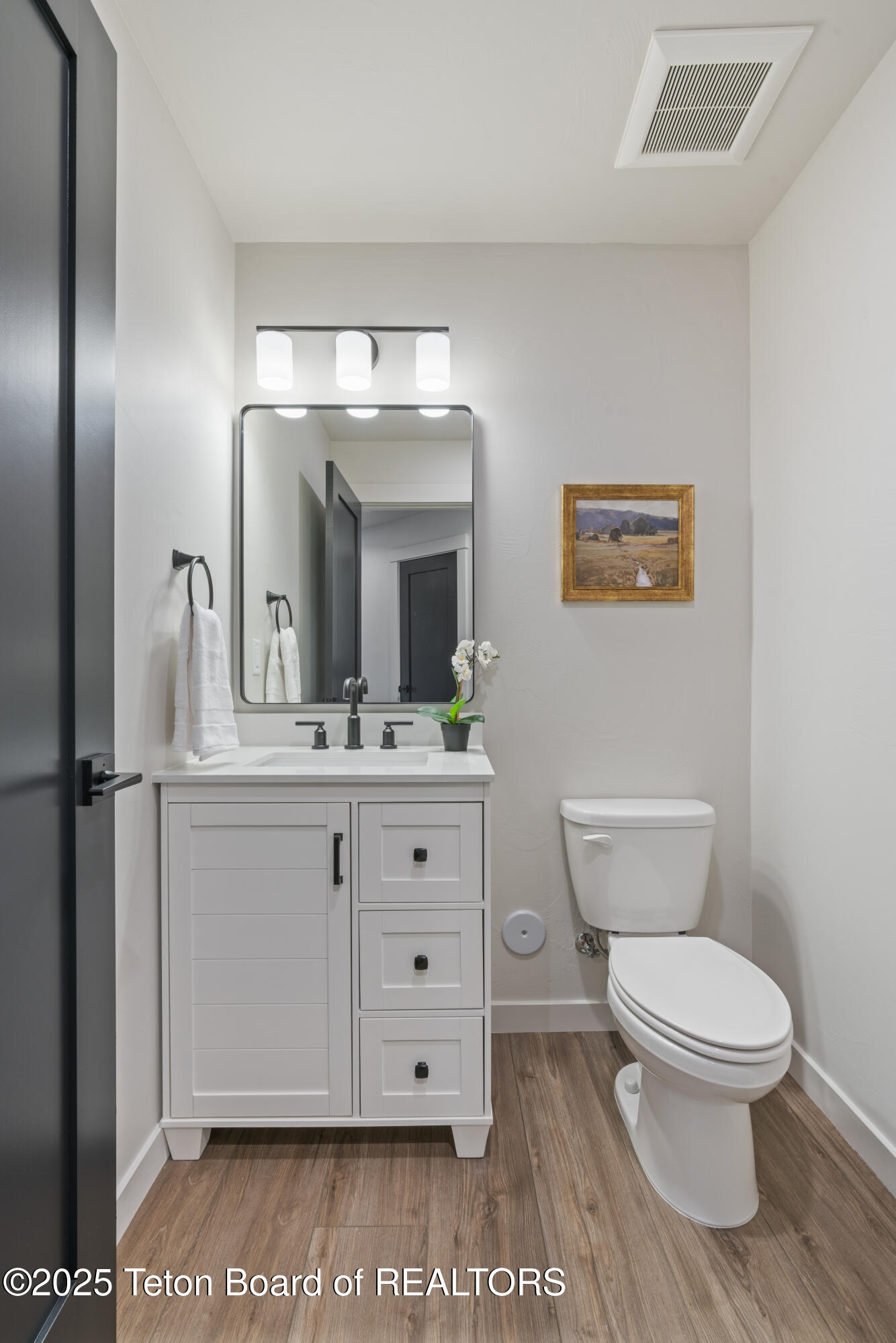 680 Stone Peak Loop Driggs, ID 83422 - Photo 18 of 26 Downstairs Half Bath