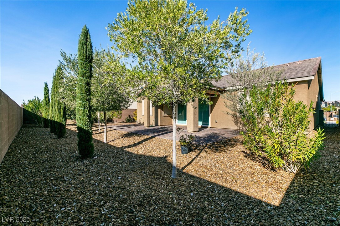 7003 Calvert Cliffs Street North Las Vegas, NV 89084 - Photo 32 of 41