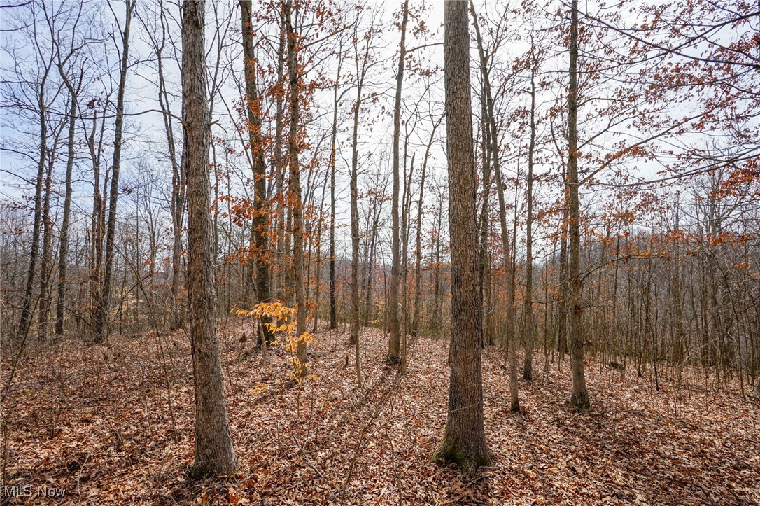 Jackson Fork Road South Webster, OH 45682 - Photo 25 of 37 View of landscape with a wooded view