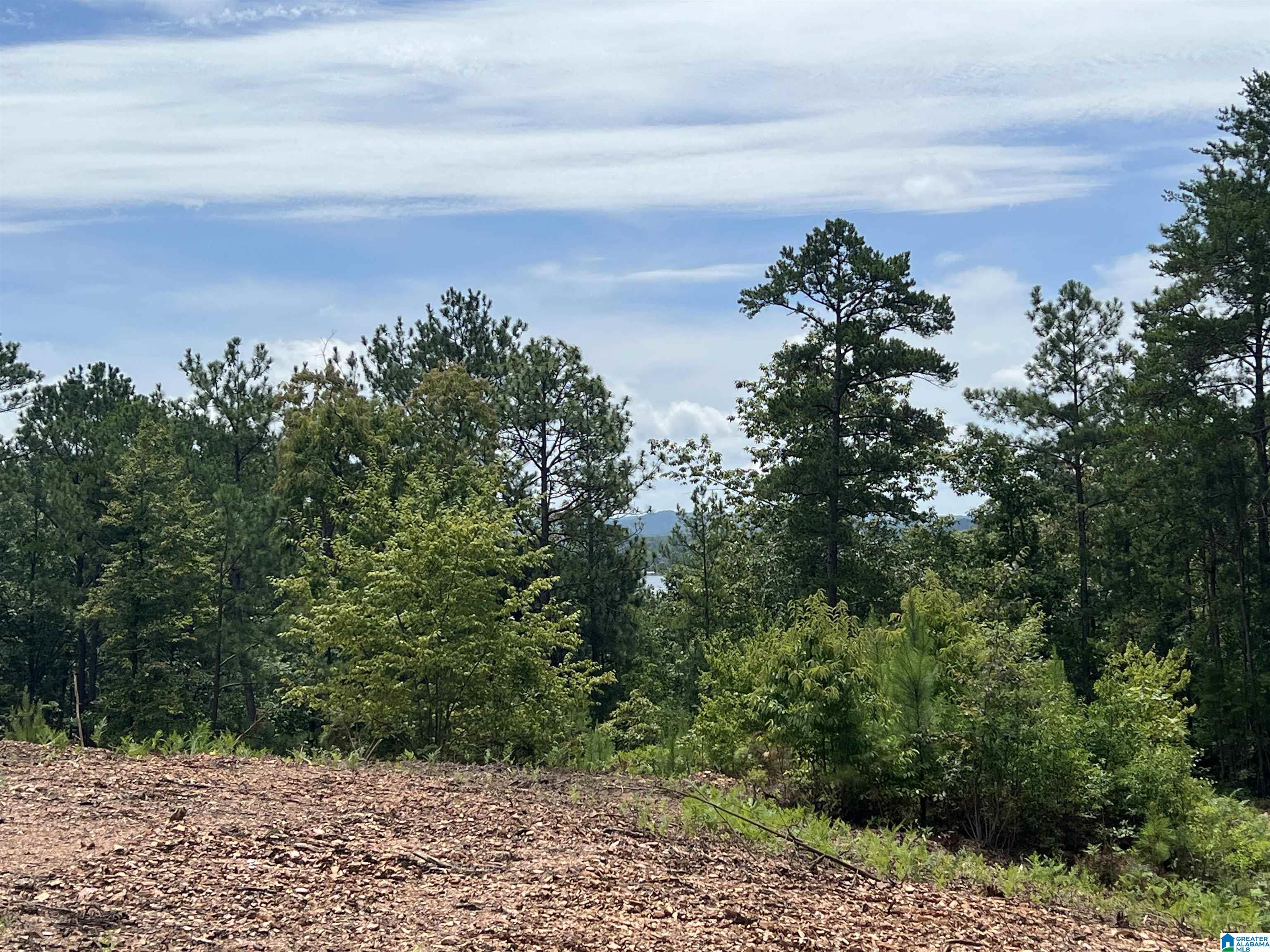 0 County Road 188 Clanton, AL 35046 - Photo 7 of 20
