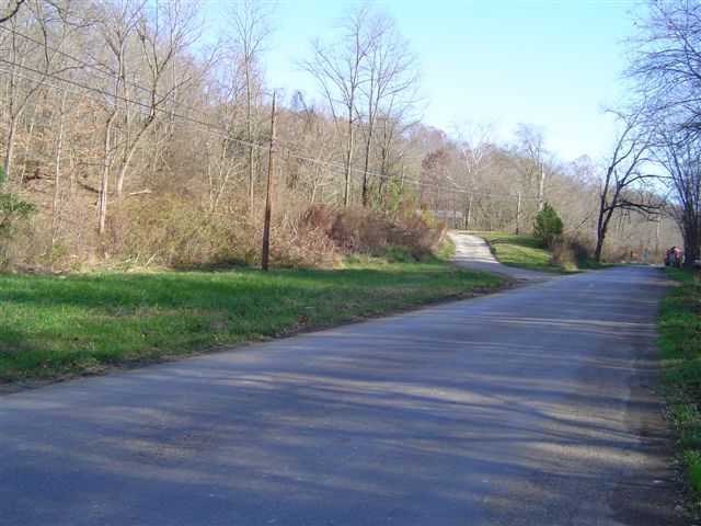 6015 Buttermilk Road Blue Rock, OH 43720 - Photo 2 of 10