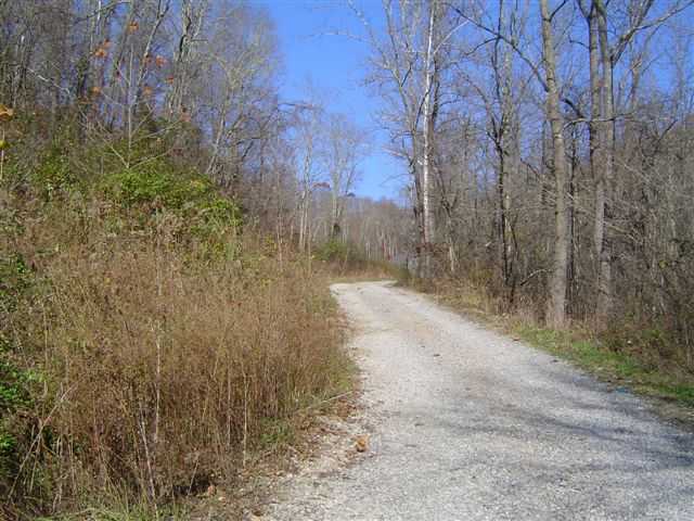 6015 Buttermilk Road Blue Rock, OH 43720 - Photo 3 of 10