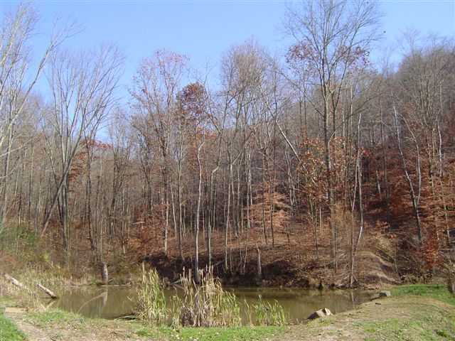 6015 Buttermilk Road Blue Rock, OH 43720 - Photo 8 of 10