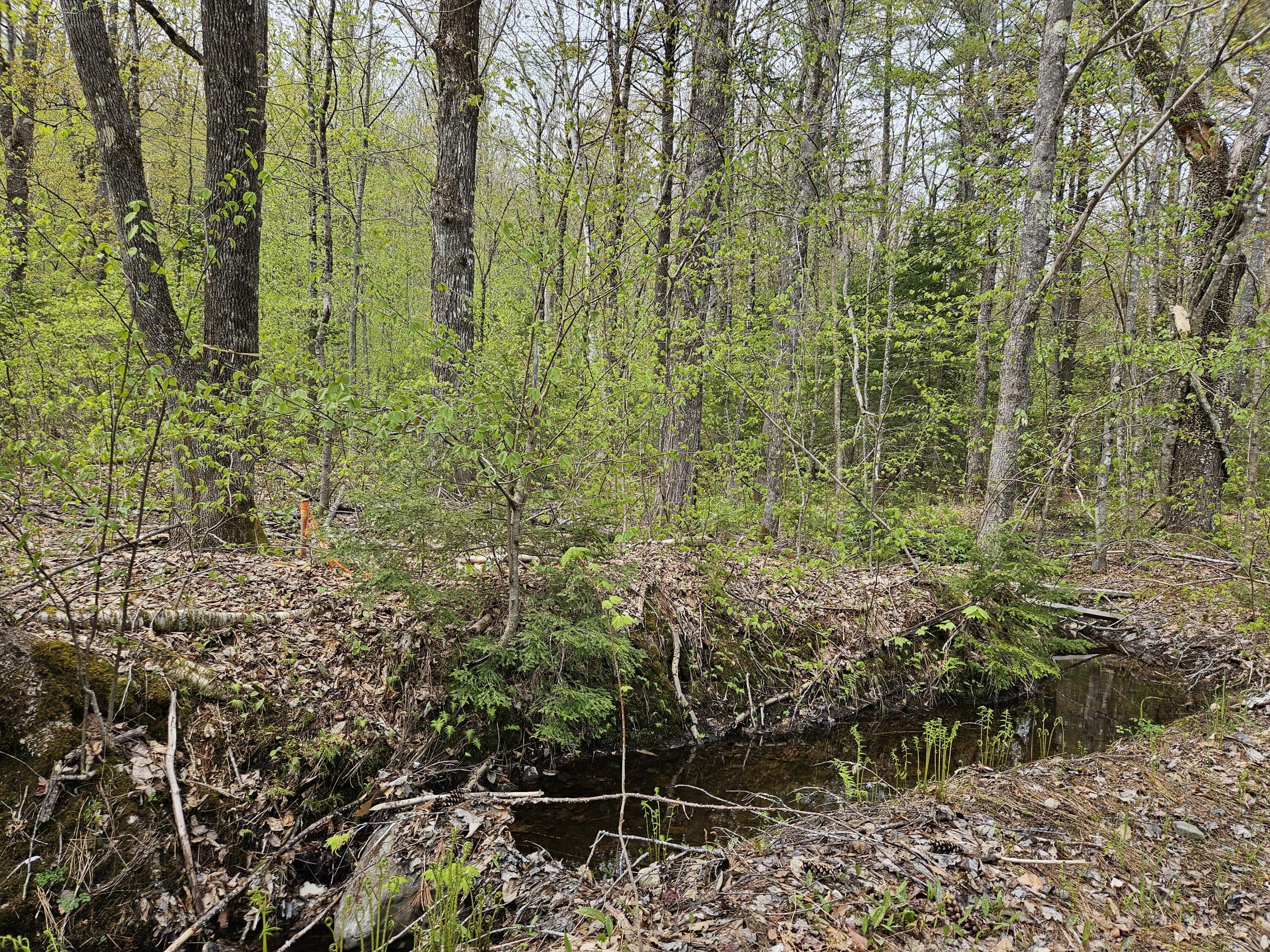 Mr02-l019 Holman Pond Road Temple, ME 04984 - Photo 23 of 40 Holman Lot 19