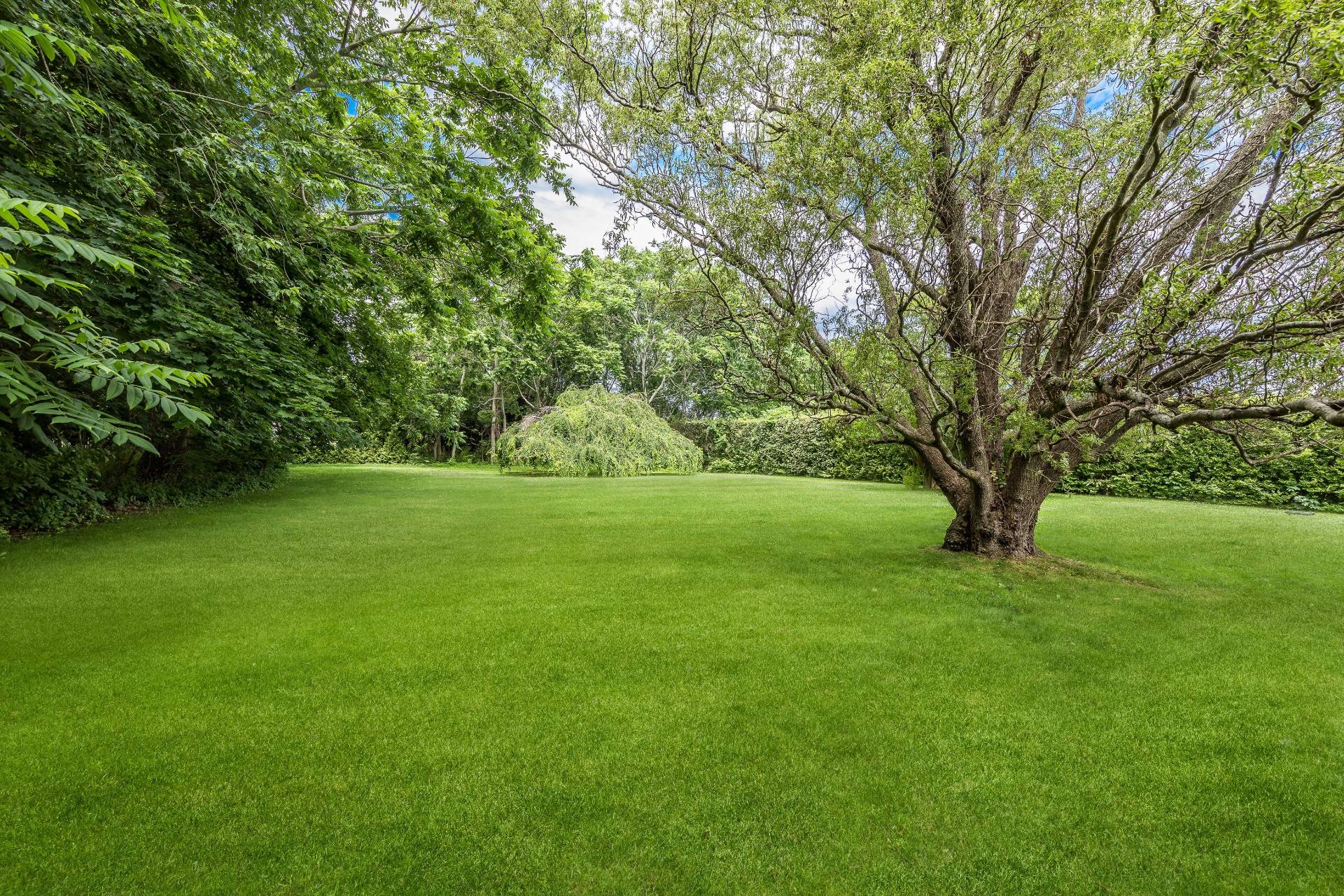 124 Ocean Road Bridgehampton, NY 11932 - Photo 27 of 27 a huge green field with lots of trees