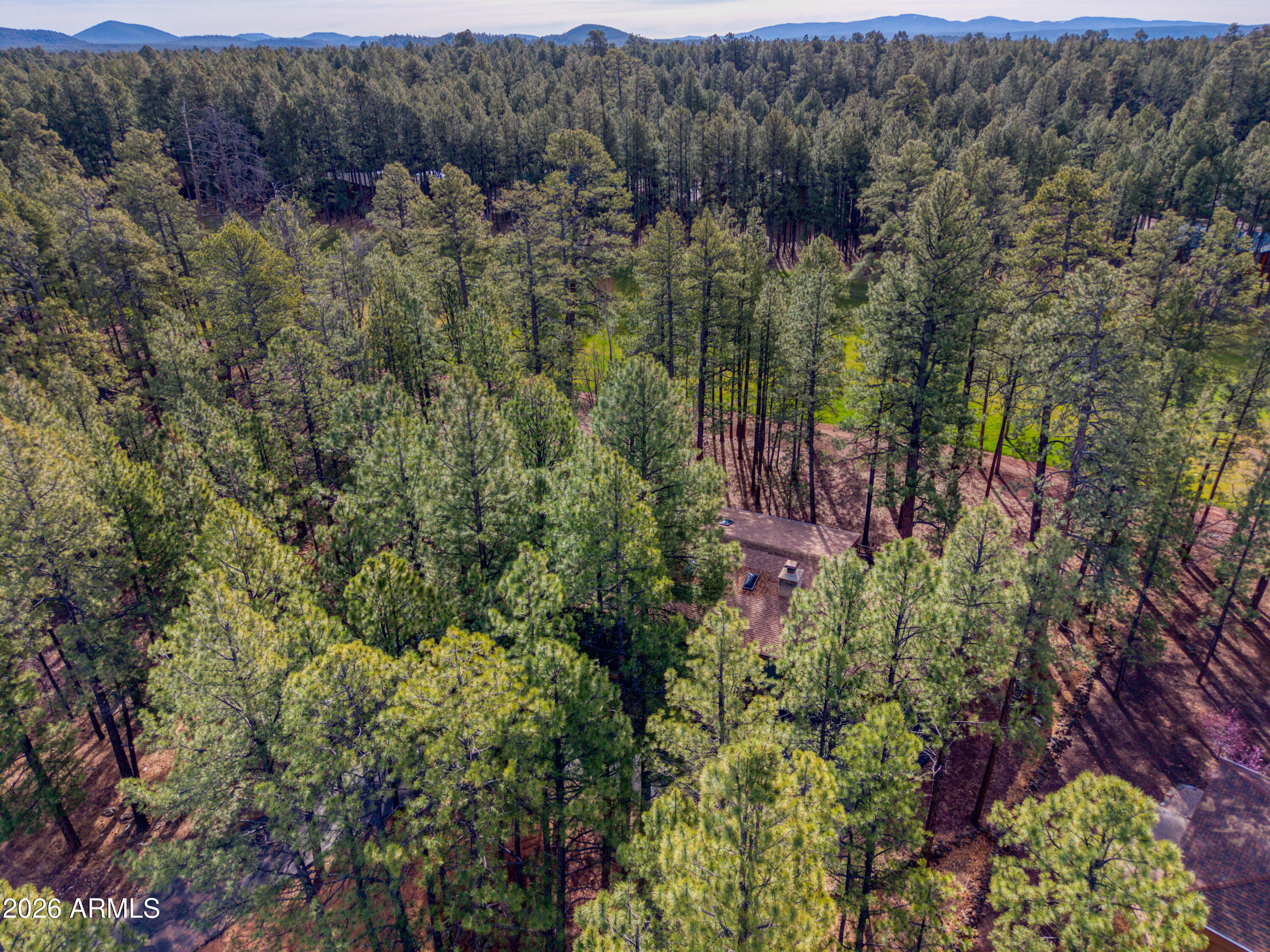 7139 Buck Springs Road Pinetop, AZ 85935 - Photo 36 of 37 PaxmanPh_DJI_20260316084935_0004_D