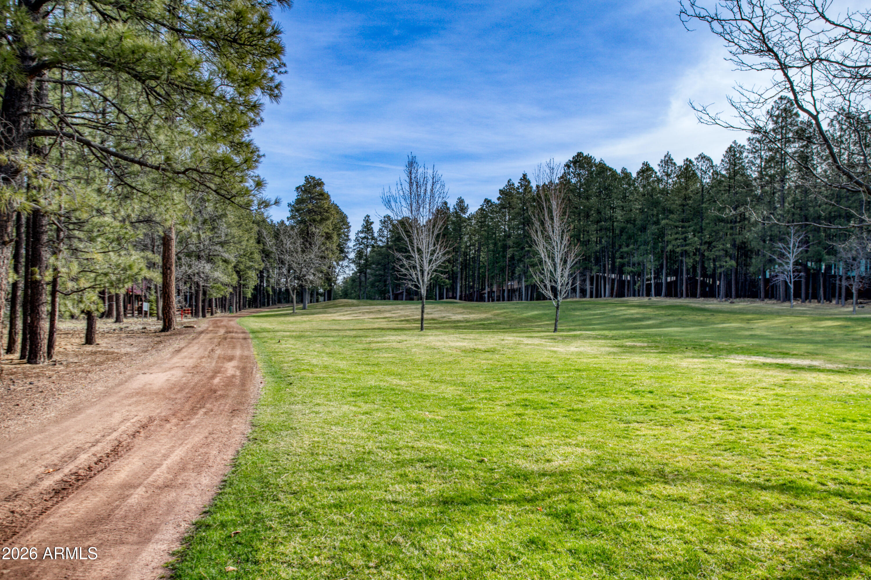 7139 Buck Springs Road Pinetop, AZ 85935 - Photo 4 of 37 PaxmanPh_IMG_2293