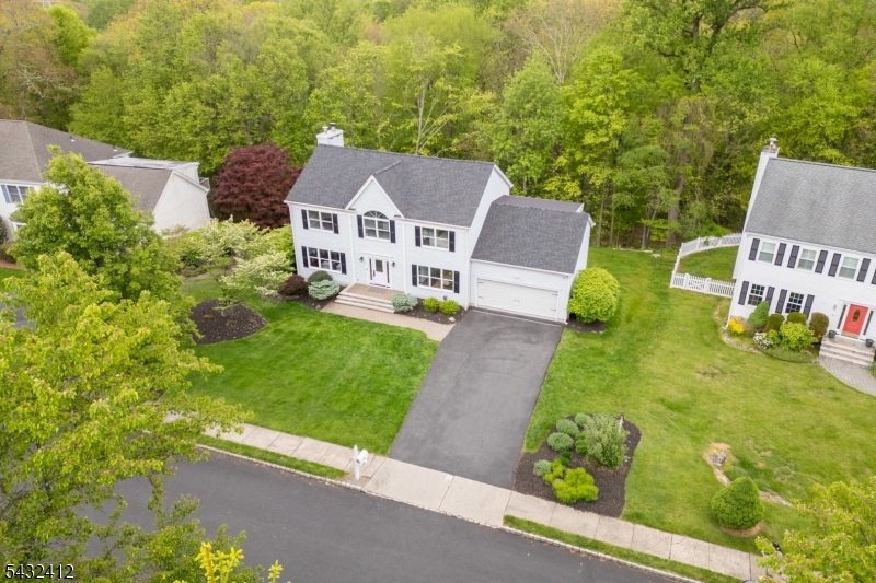 10 Golden Corner Way Randolph, NJ 07869 - Photo 1 of 32