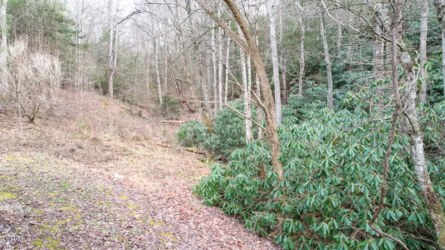 $375,000 | 13660 Asheville Highway, Greeneville, TN 37743