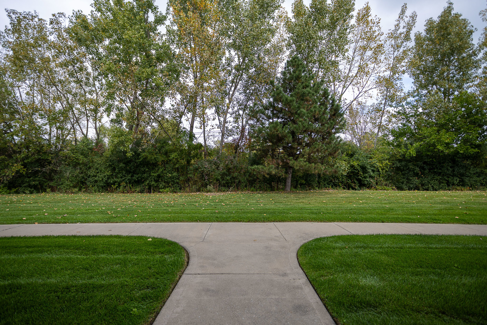 6830 Winding Trail, Unit 102 Oak Forest, IL 60452 - Photo 4 of 34