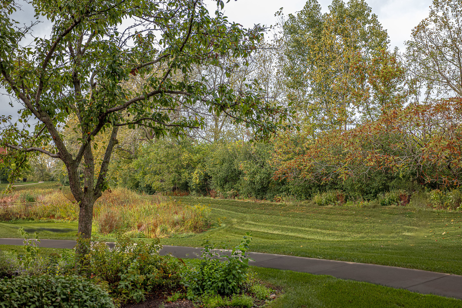 6830 Winding Trail, Unit 102 Oak Forest, IL 60452 - Photo 5 of 34