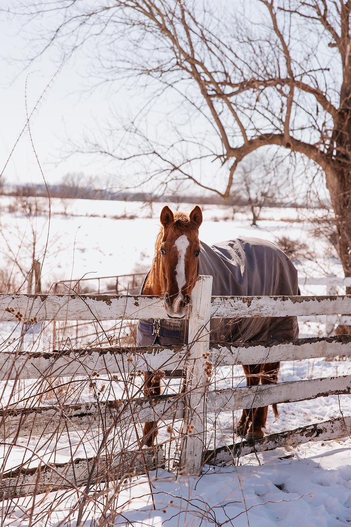 281 North Snipehollow Road Elizabeth, IL 61028 - Photo 52 of 68