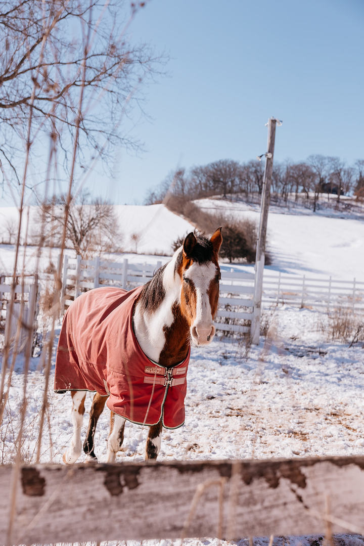 281 North Snipehollow Road Elizabeth, IL 61028 - Photo 53 of 68