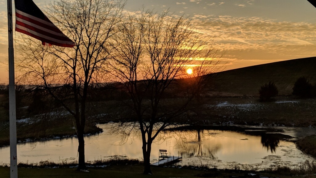 281 North Snipehollow Road Elizabeth, IL 61028 - Photo 55 of 68 a backyard of a house with lots of green space
