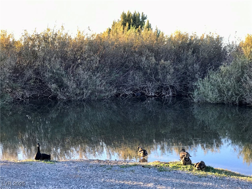 4 Camp Bonanza Road Cold Creek, NV 89124 - Photo 46 of 68 Cold Creek area lifestyle photos and area features.