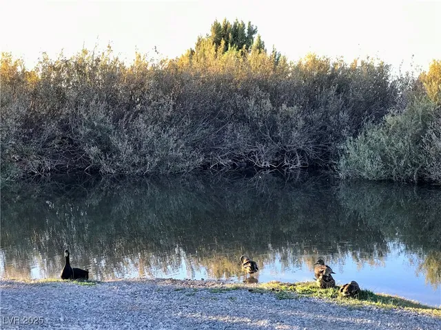 $419,000 | 4 Camp Bonanza Road, Cold Creek, NV 89124