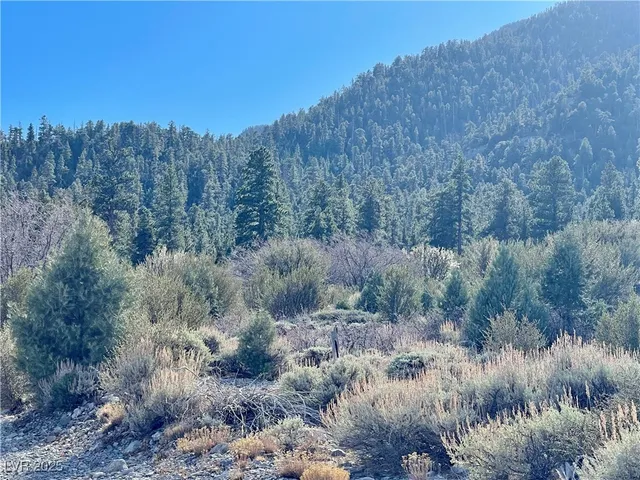 $419,000 | 4 Camp Bonanza Road, Cold Creek, NV 89124