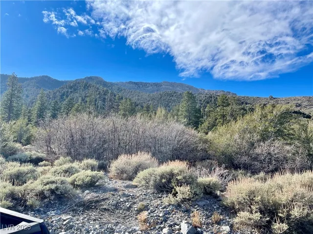 $419,000 | 4 Camp Bonanza Road, Cold Creek, NV 89124