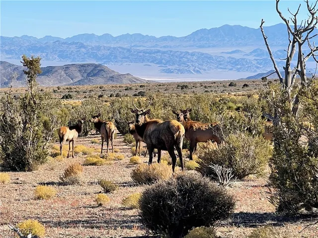 $419,000 | 4 Camp Bonanza Road, Cold Creek, NV 89124