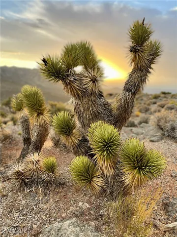 $419,000 | 4 Camp Bonanza Road, Cold Creek, NV 89124