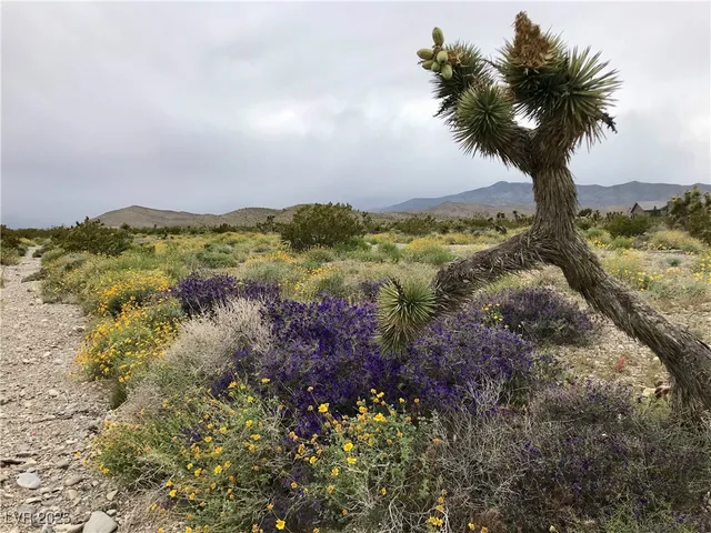 $419,000 | 4 Camp Bonanza Road, Cold Creek, NV 89124