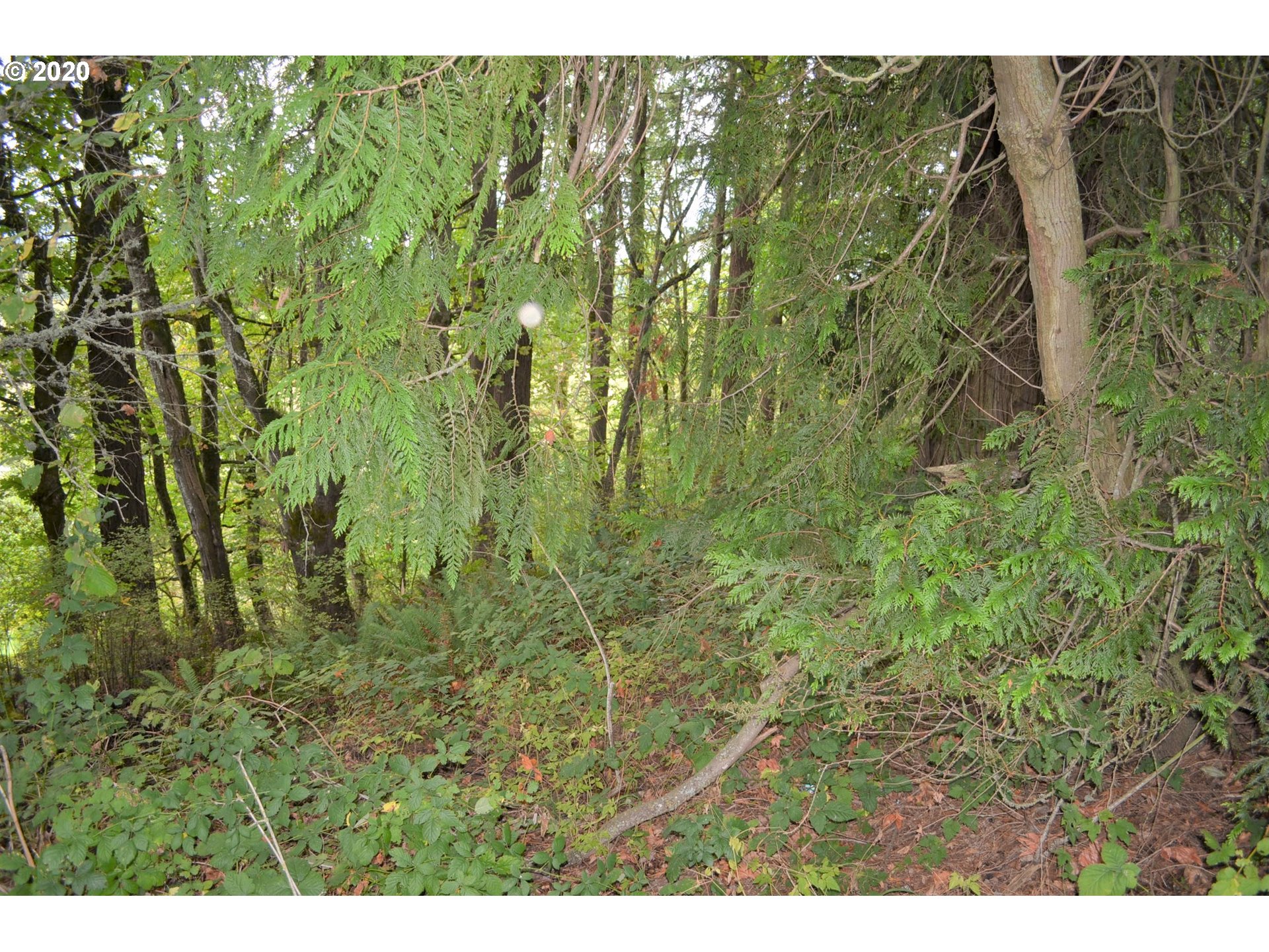 0 Northwest 67th Avenue, Unit 2 Ridgefield, WA 98642 - Photo 22 of 25