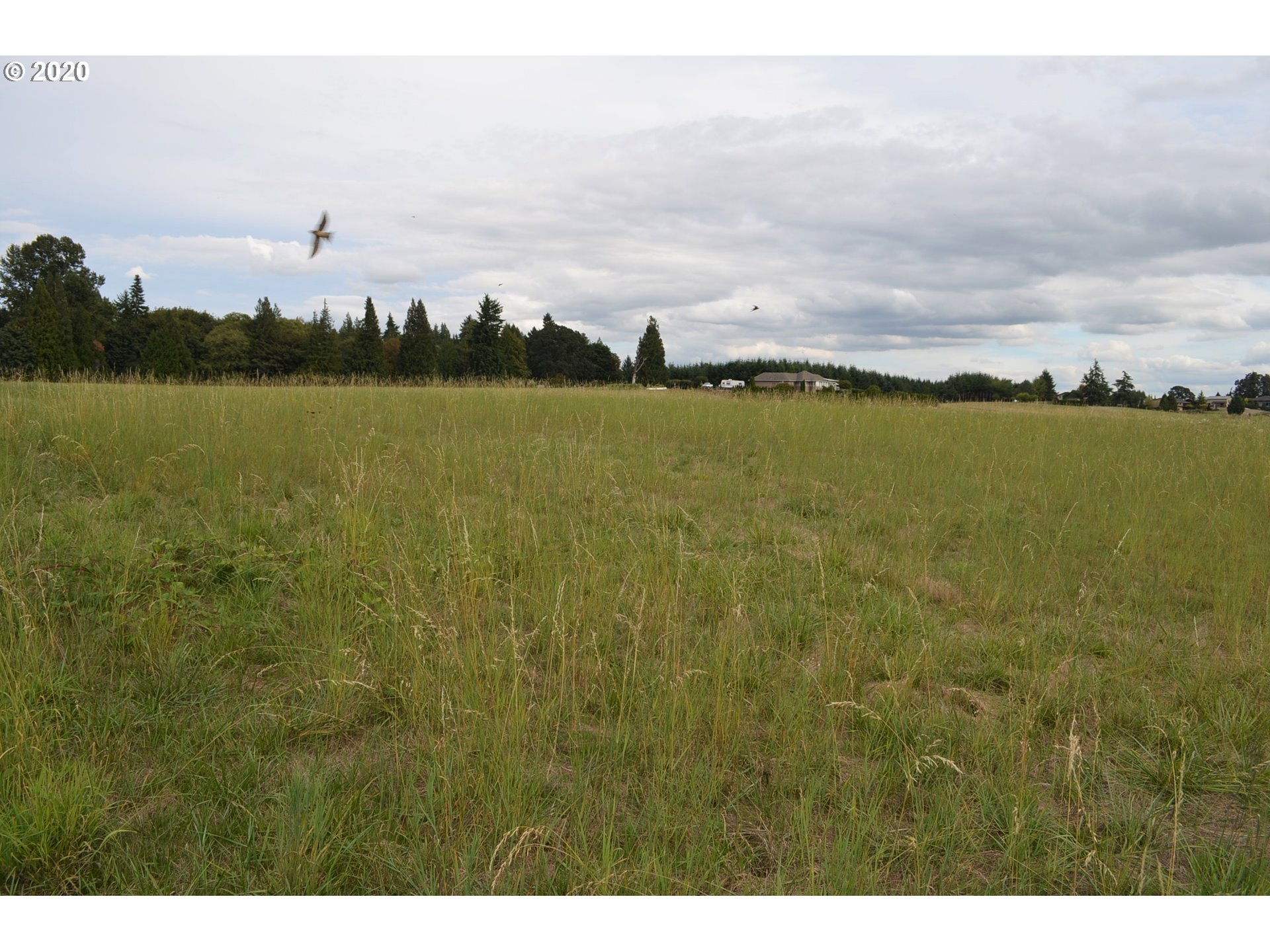 0 Northwest 67th Avenue, Unit 2 Ridgefield, WA 98642 - Photo 25 of 25